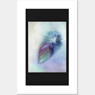 Blue Feather Posters and Art